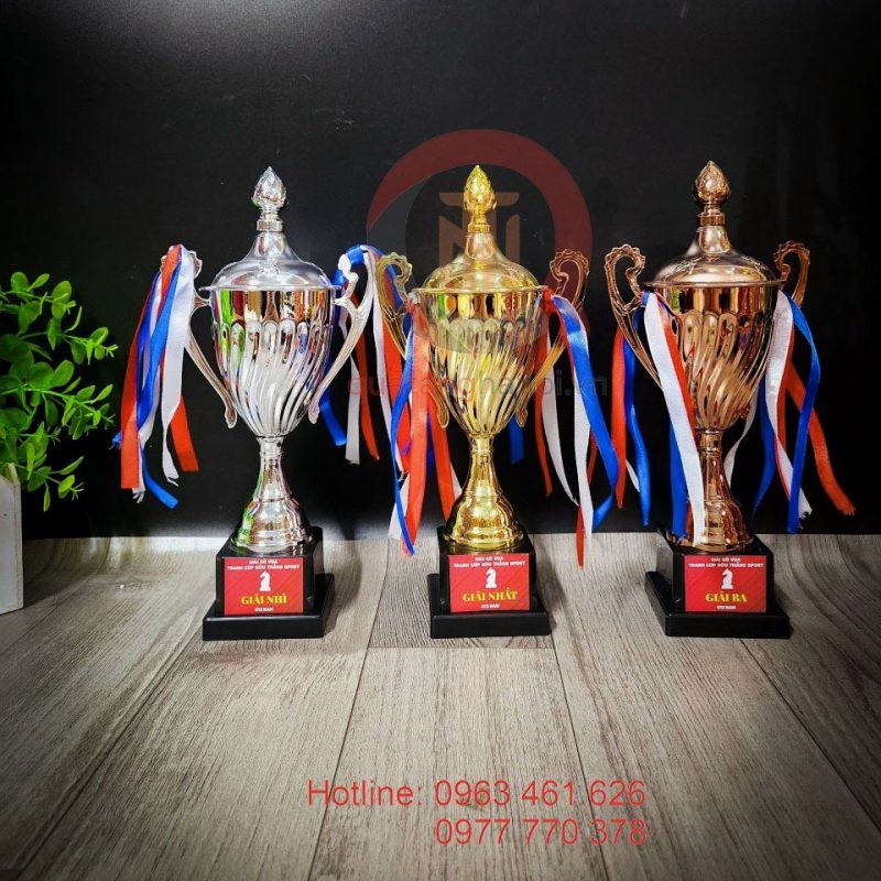 Cup đồng cờ vua Hữu Thắng Sport